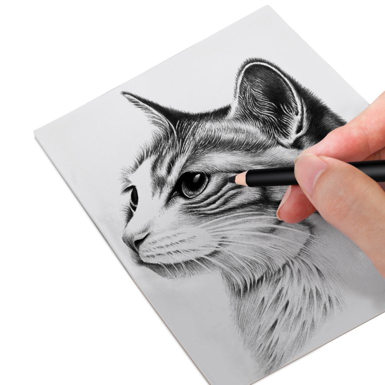 artist charcoal pencils set